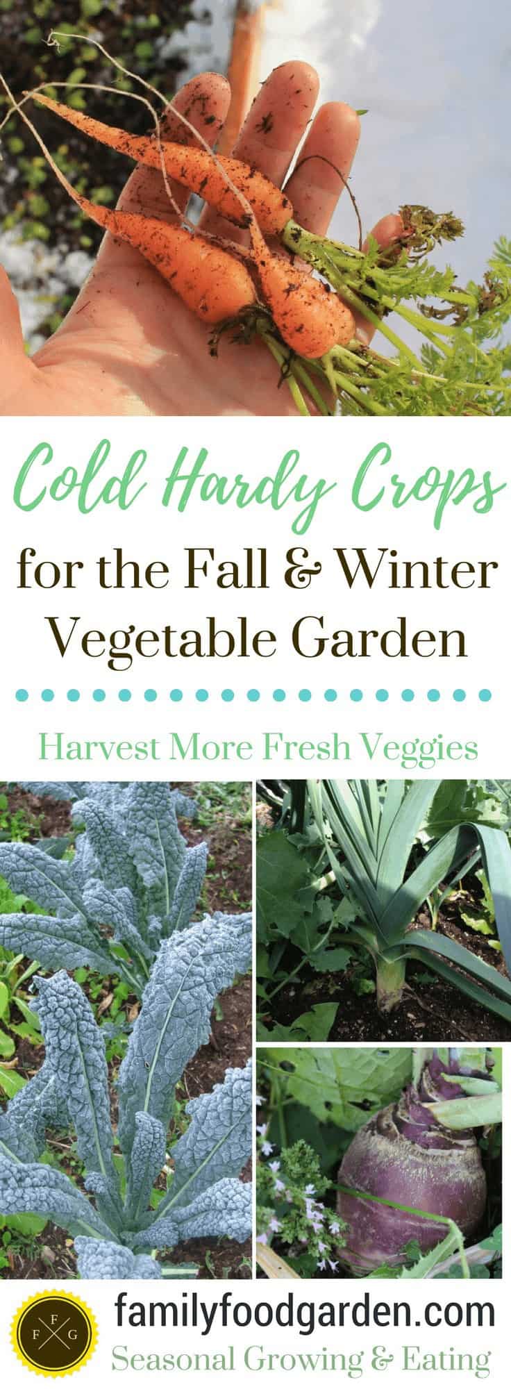 Cold Hardy Crops for the Fall & Winter Vegetable Garden