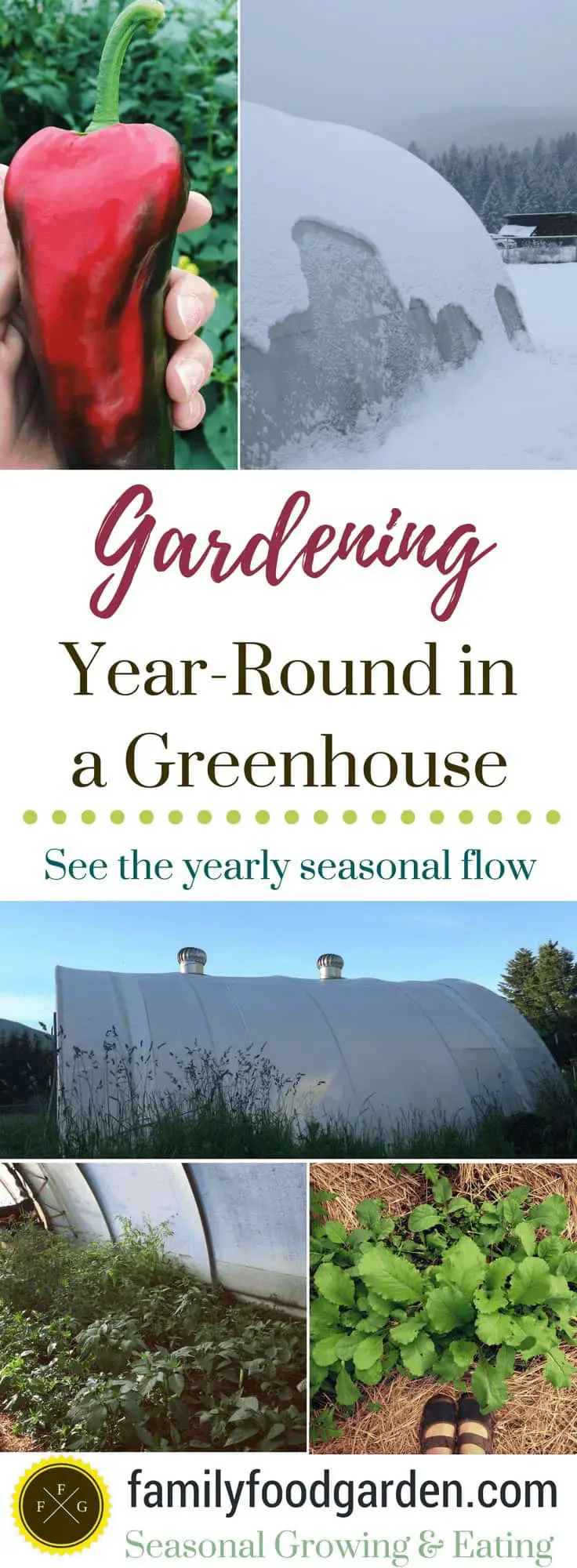 Greenhouse Gardening- Grow Vegetables Year-Round