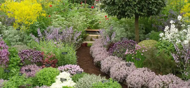 Garden Design Ideas