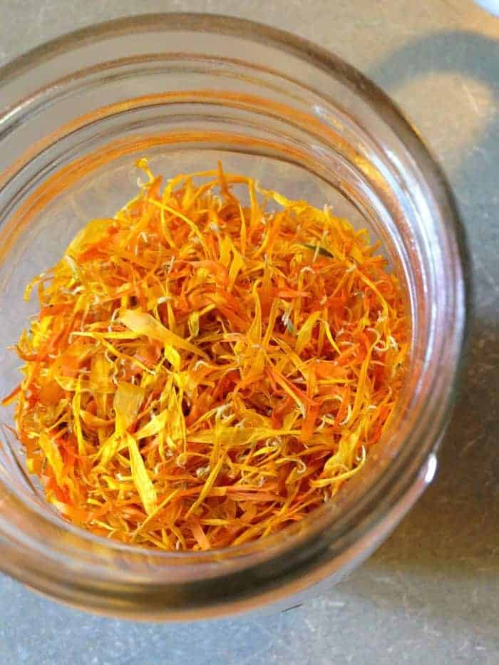 How to Dry Calendula Flowers & Make Calendula Oil