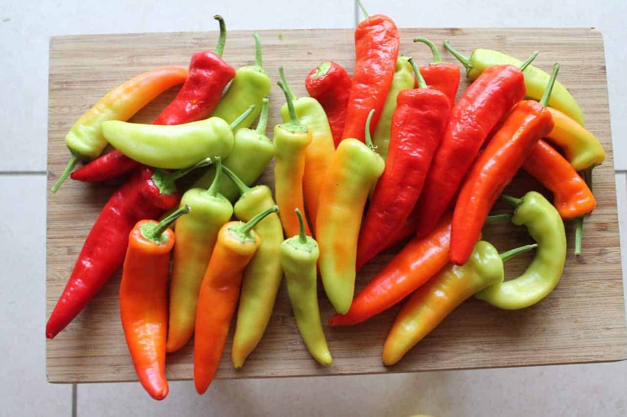 Hungarian Hot Wax Banana Peppers are perfect for shorter summers