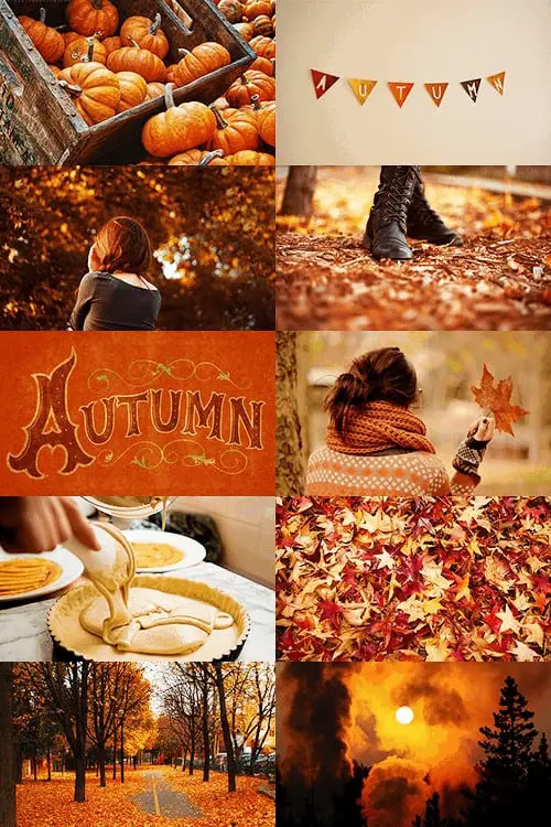 Ideas for a Cozy Fall: Autumn Recipes, Drinks, Decor & More