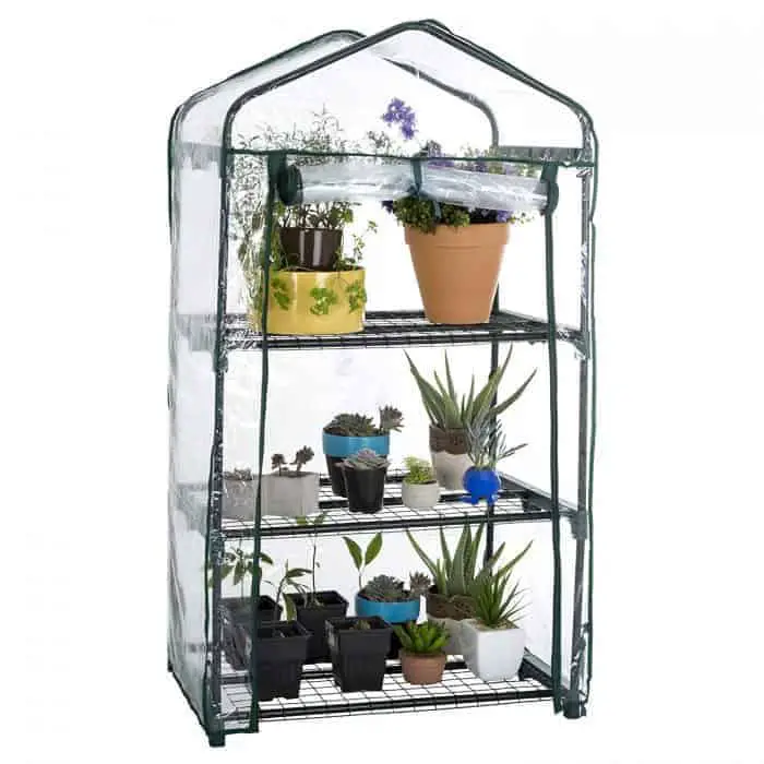 Where to Buy a Mini Greenhouse