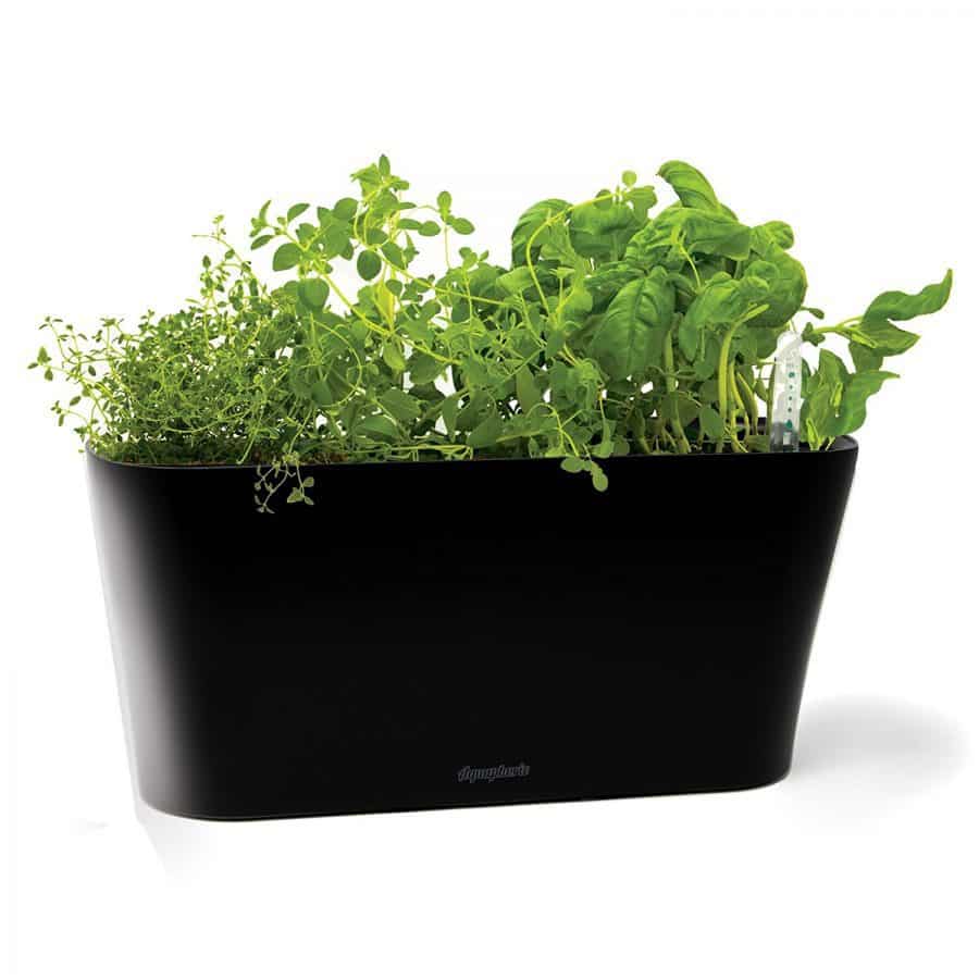horta de temperos no muro | Espaço Casa Indoor Herb Garden Kits (a Great Gardener Gift!)
