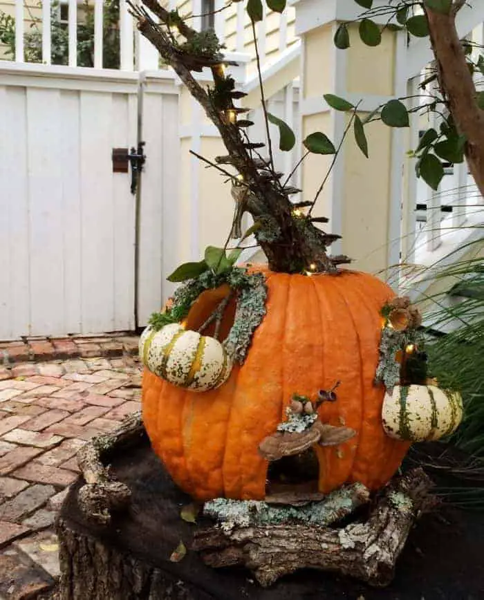Halloween Pumpkin Fairy Garden Ideas 