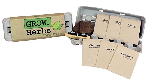 Herb Garden Kits for Kids