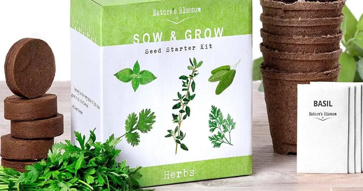Indoor Herb Garden Kits (a Great Gardener Gift!) ~Family Food Garden Indoor Herb Garden Kits (a Great Gardener Gift!) ~Family Food Garden