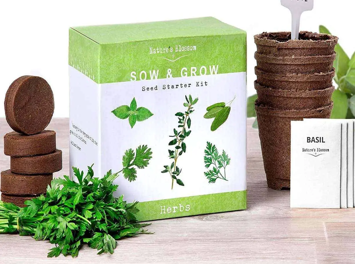 Best Starter Herb Garden Kits [Indoor Kits] | Family Food Garden