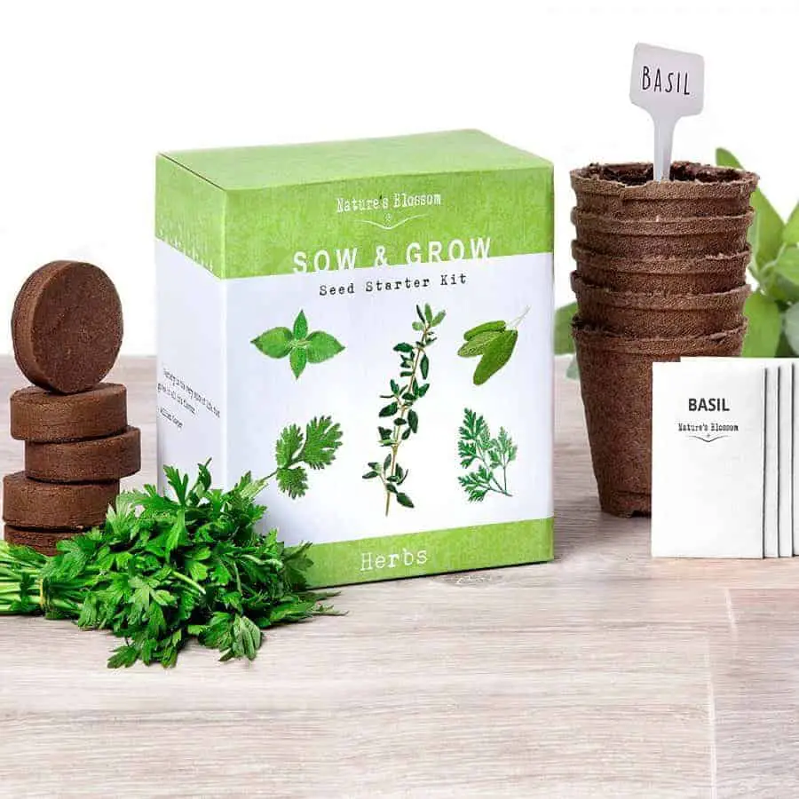 Indoor Herb Garden Kits a Great Gardener Gift!  Family Food Garden