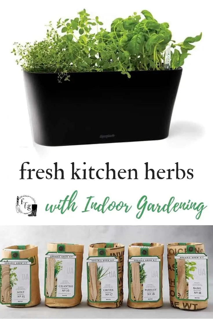 Indoor Herb Garden Kits for Fresh Kitchen Herbs | Family Food Garden