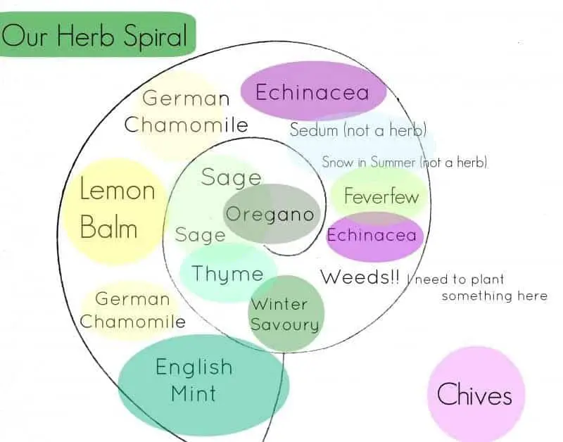 What to plant in a medicinal herb garden- plants for herb spiral
