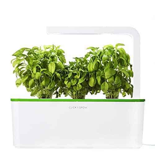 Indoor Herb Garden Kit 