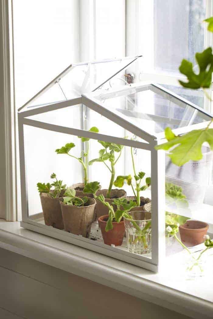 Mini Greenhouse