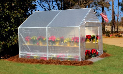 Greenhouse Kits, Mini/Small Greenhouses for Sale & DIY Greenhouses