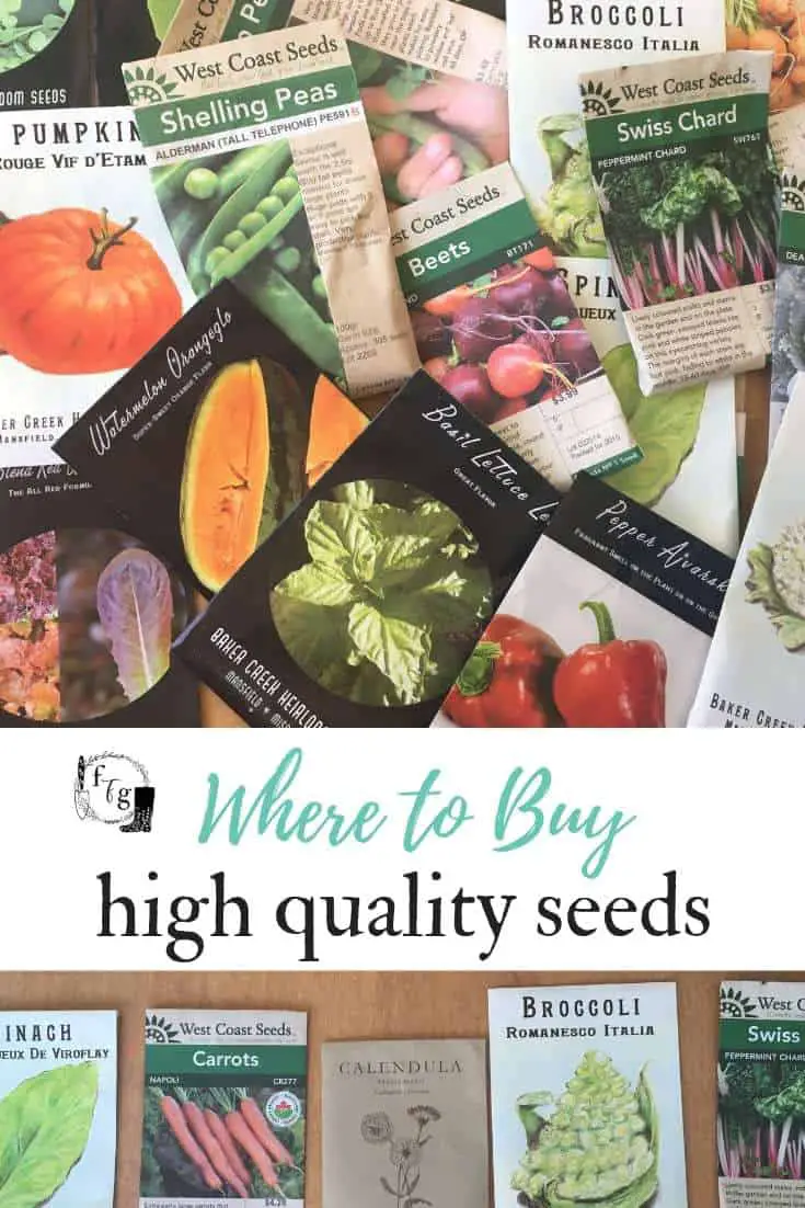 Where to buy high quality seeds