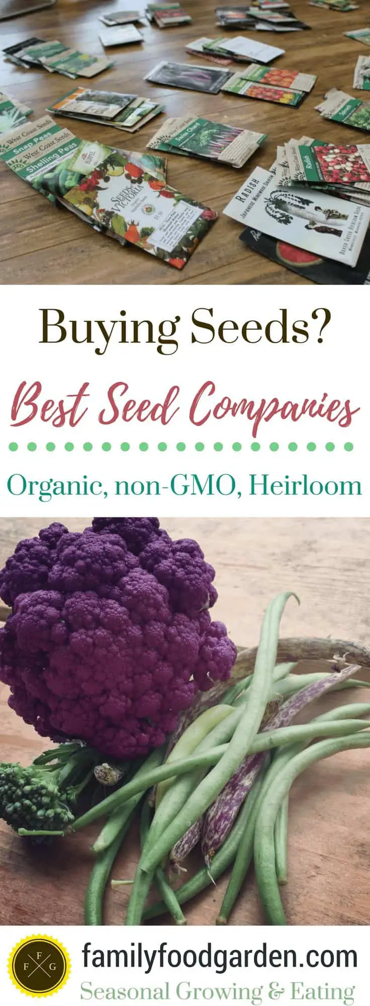 Where to buy vegetable & herb seeds