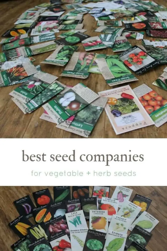 Best seed companies for vegetable seeds and herb seeds