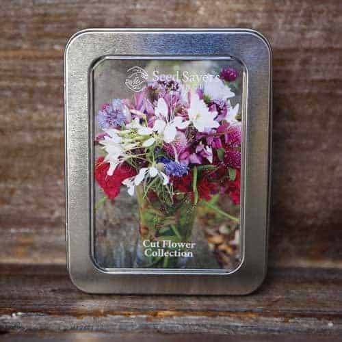 Gifts for gardeners