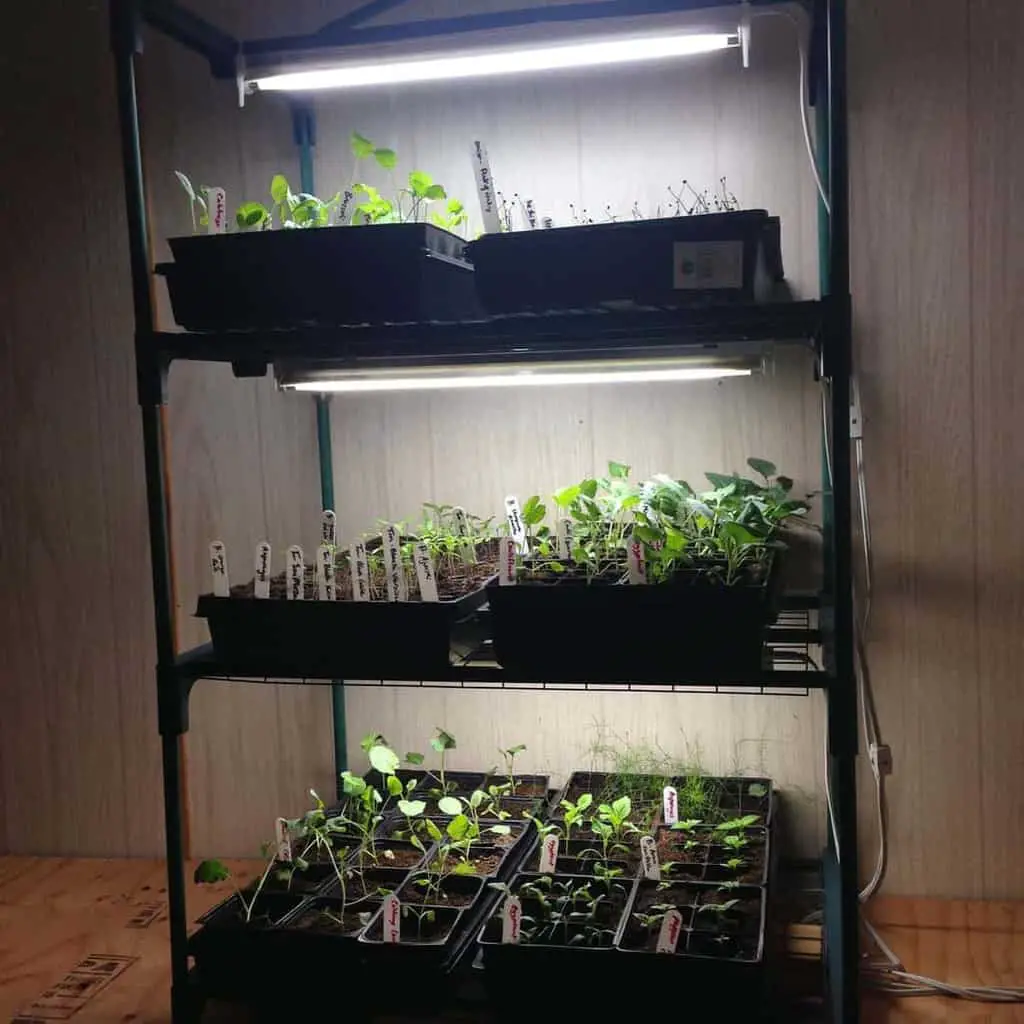 3 Tier Mini Greenhouse