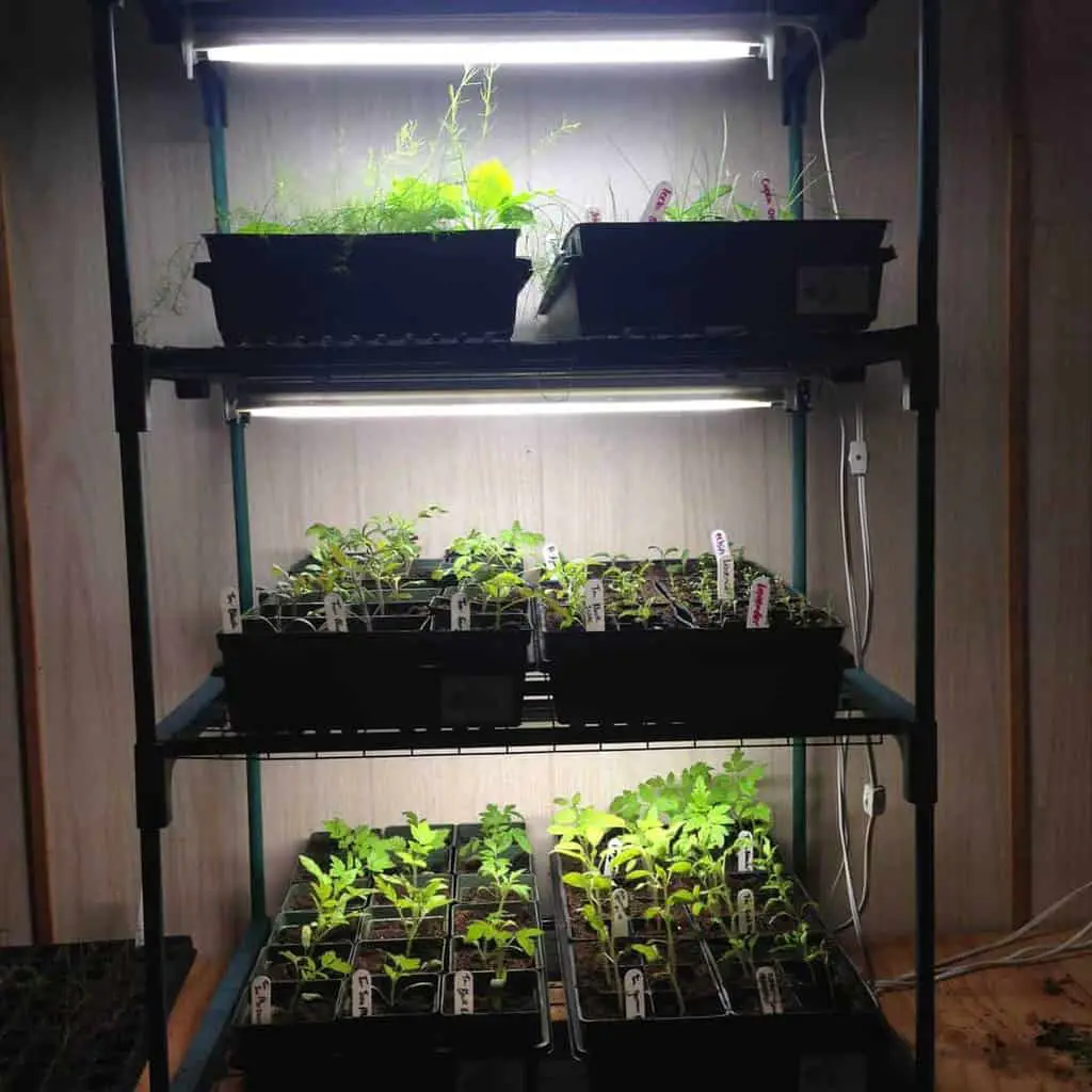 Indoor mini greenhouse for seed starting