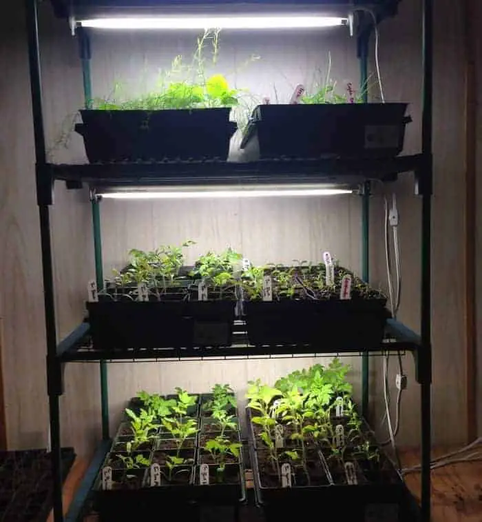 Indoor gardening grow light set up