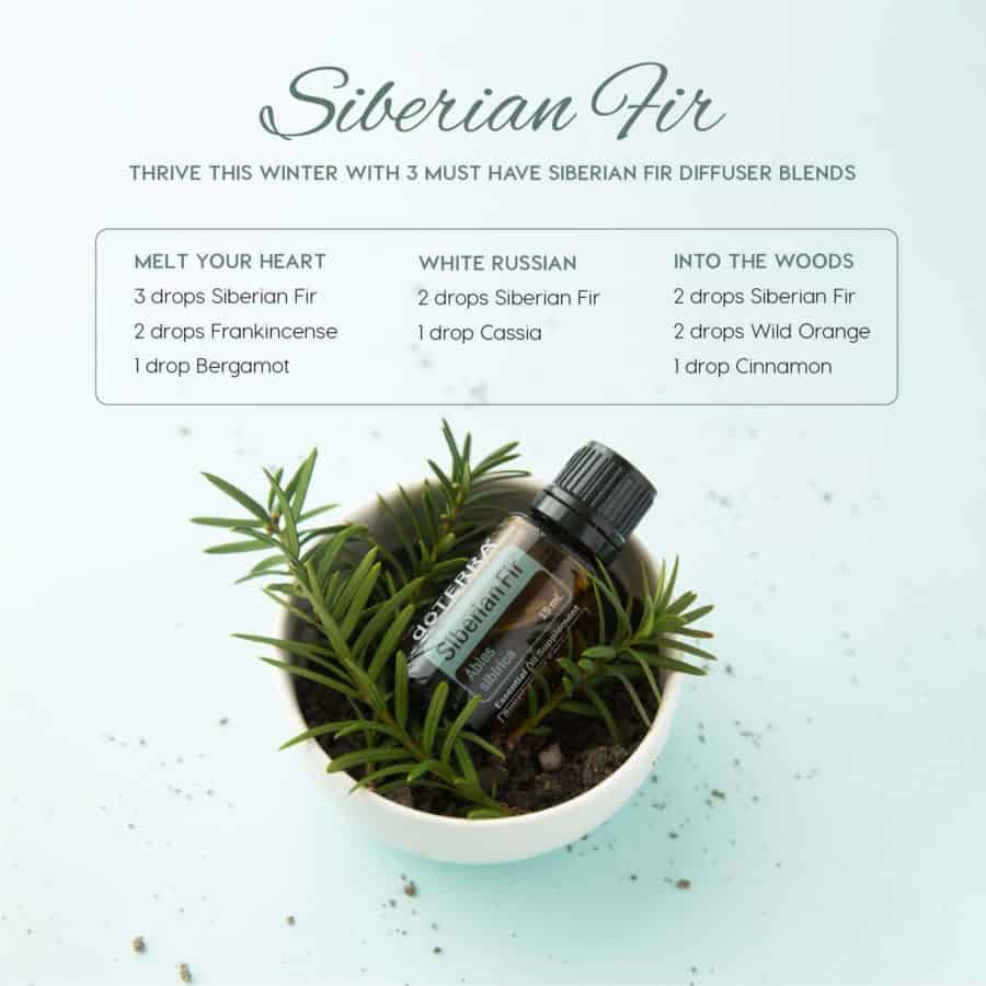 doTERRA Siberian Fir diffuser blends