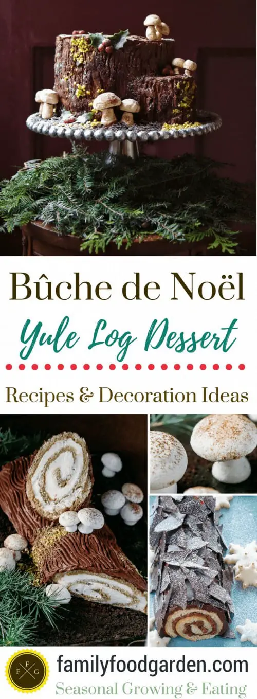 Bûche de Noël Yule Log Dessert Recipes #christmasdessert #christmas #holidays #christmascake #wintersolstice
