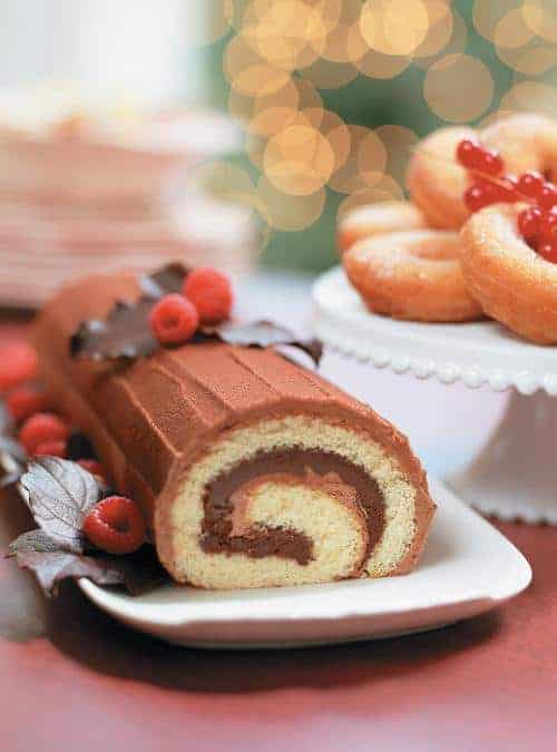 Chocolate buche de noel