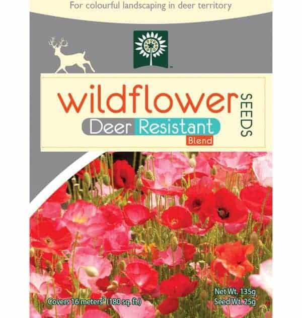 Deer resistant wildflowers