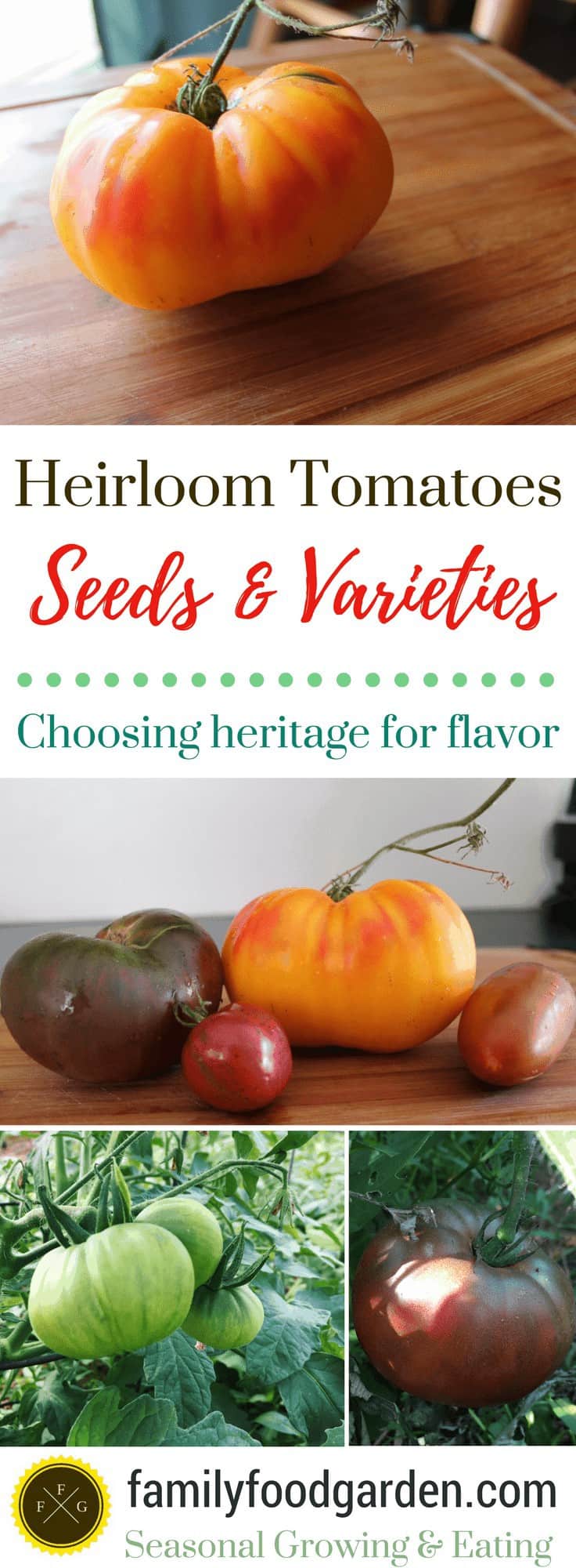 Heirloom Tomatoes: Seeds & Varieties | Family Food Garden