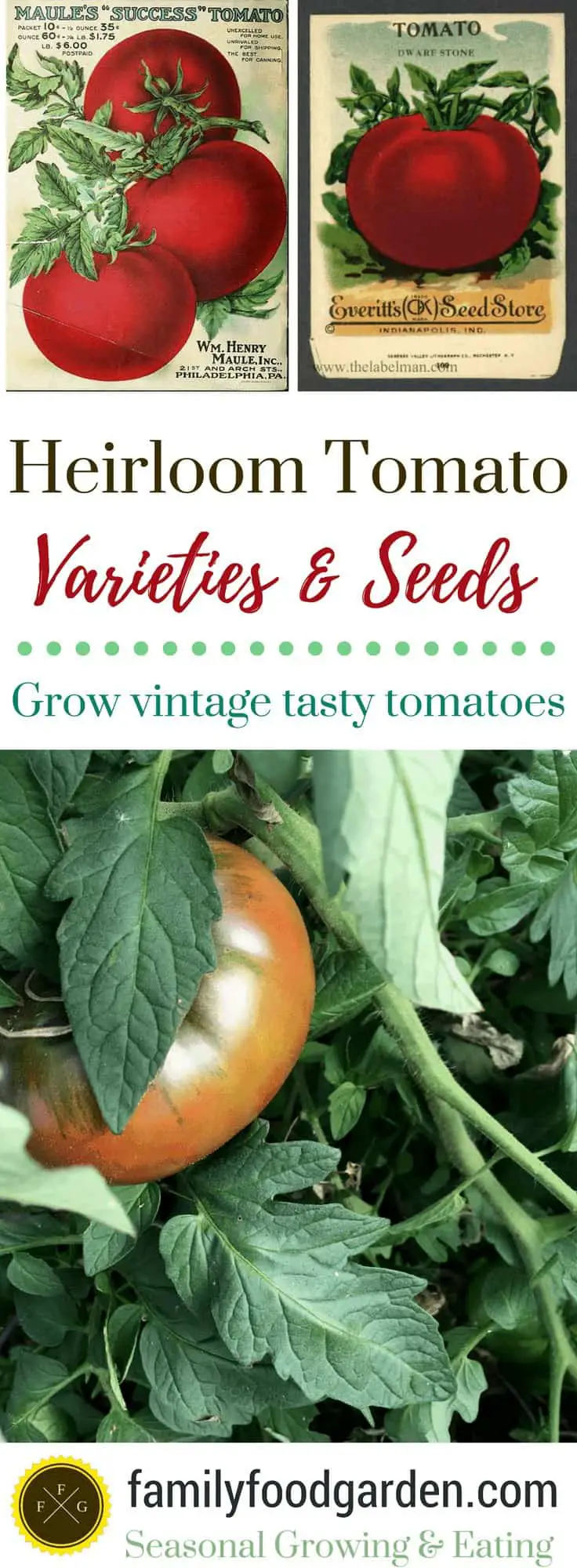 Heirloom Tomato Seeds & Varieties