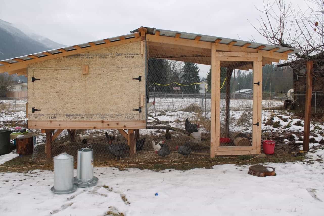 Winter chicken coop design