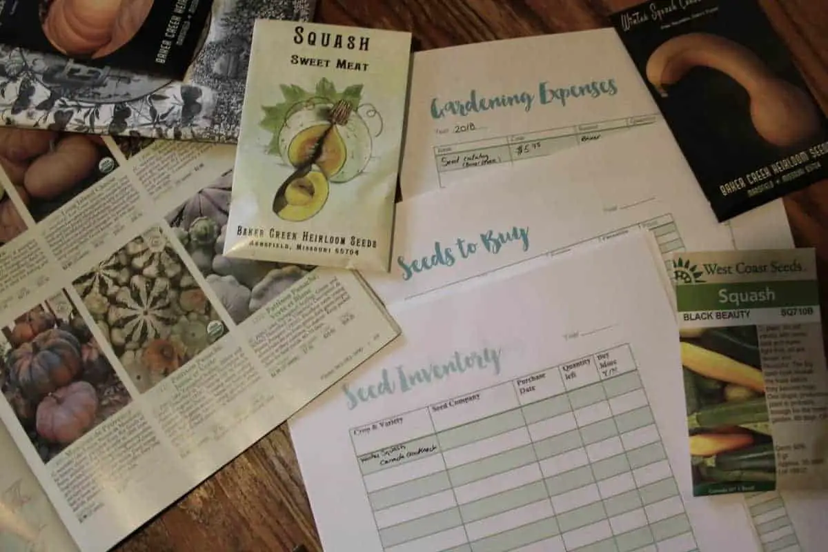 How to order seeds from seed catalogs