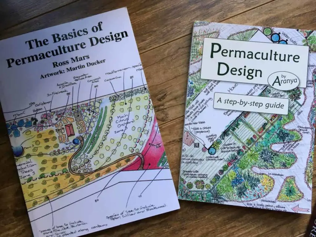 Backyard Permaculture Design & Tips | Family Food Garden on Permaculture Garden Layout
 id=80041