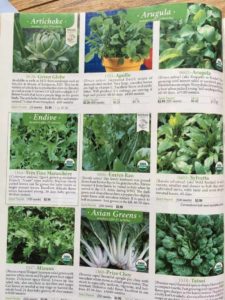 How to order from seed catalogs