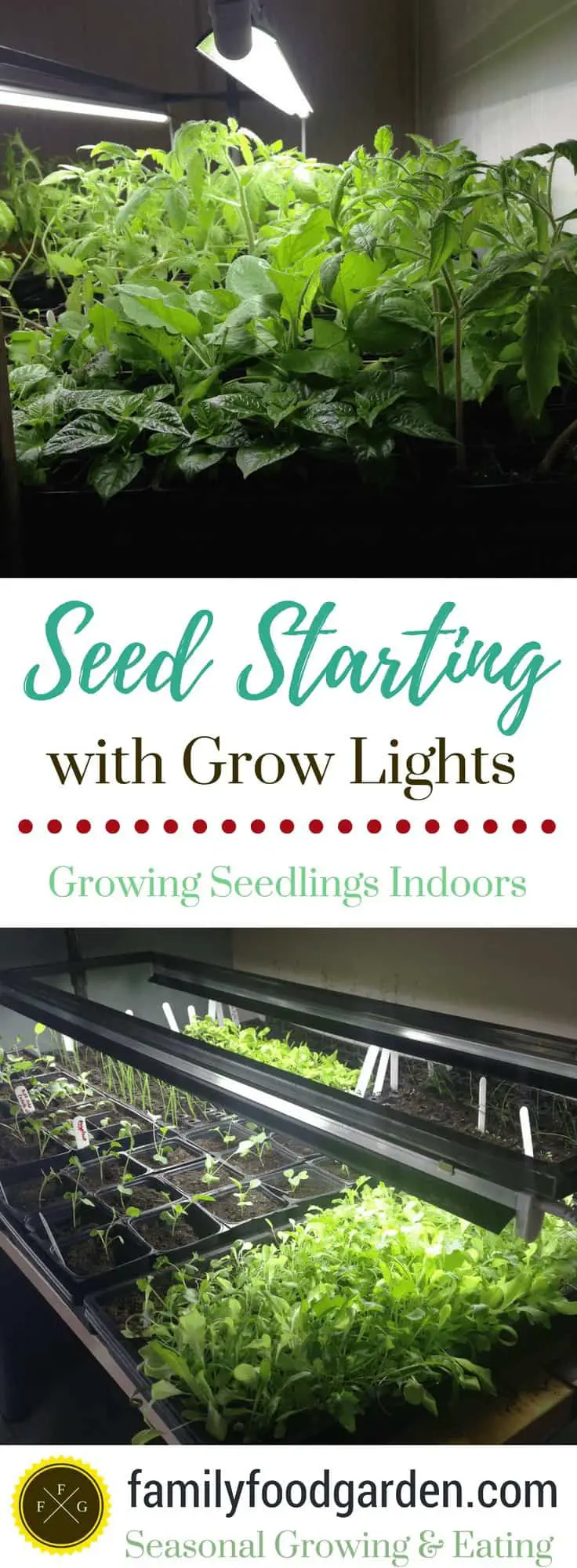 Seed Starting with Grow Lights: Growing Seedlings Indoors