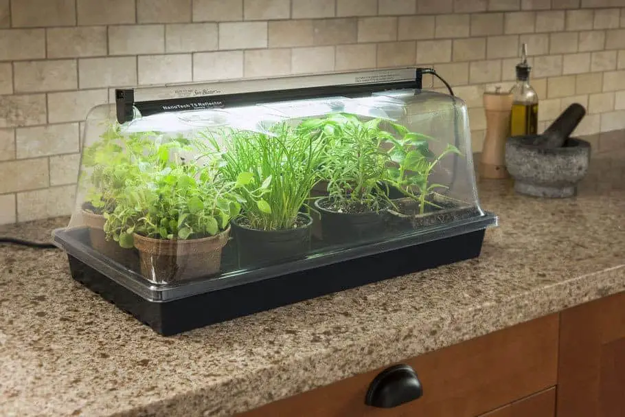 Indoor Gardening Mini Greenhouse Kit