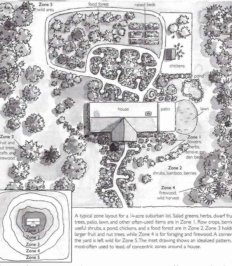 Backyard Permaculture Design & Tips | Family Food Garden on Permaculture Garden Layout
 id=70966