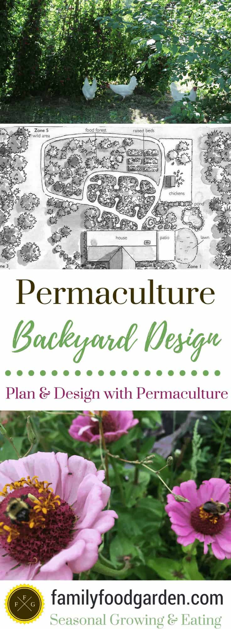 Permaculture: Backyard Design