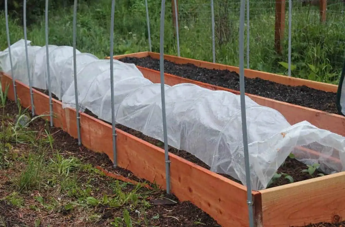 Mini hoop tunnel with raised garden bed