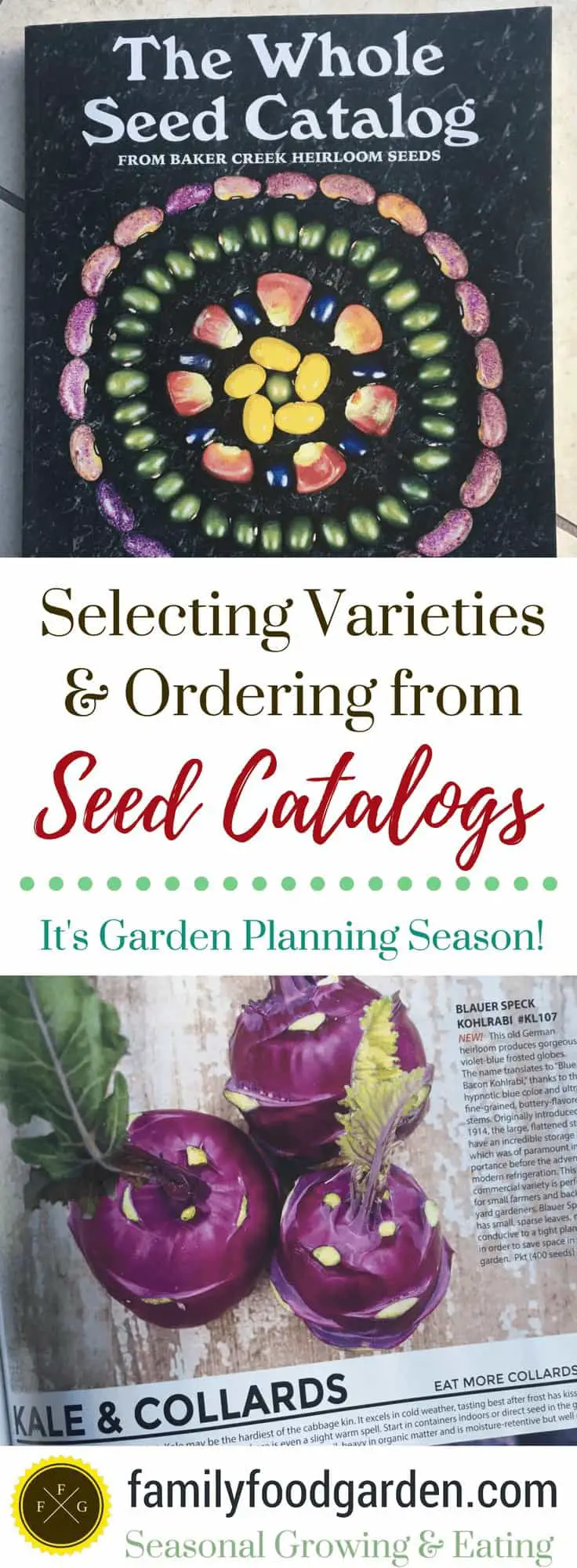 Garden planning tips for seed catalogs