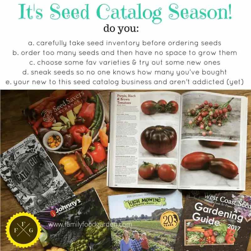 Seed catalog gardening fun