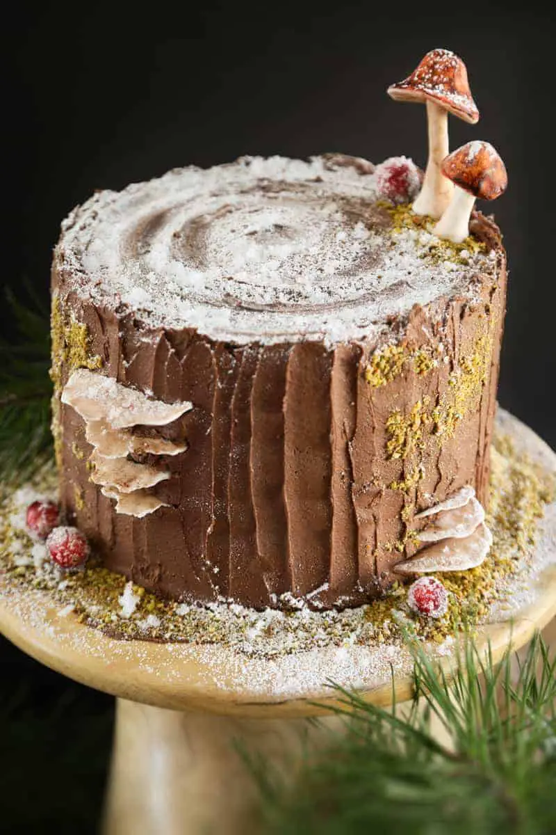 Mulled Wine Stump de Noel Cake