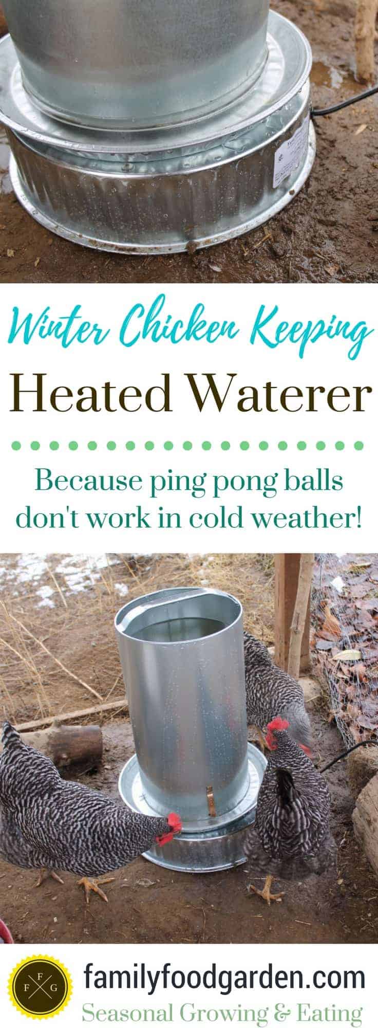 Using a heated chicken waterer for the winter months