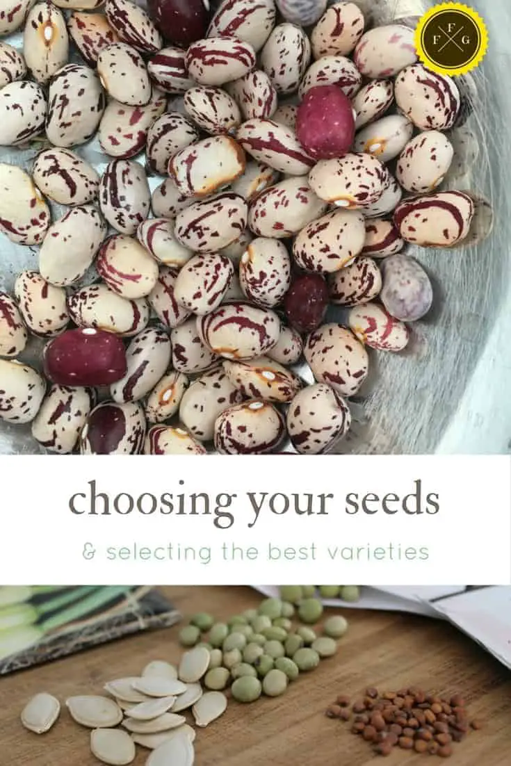 Selecting seeds & varieties