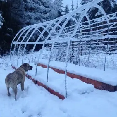 Polytunnel frame can't handle heavy or even light loads of snow