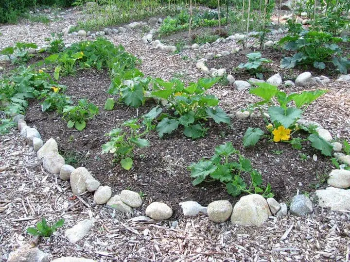 Beautiful rock garden beds