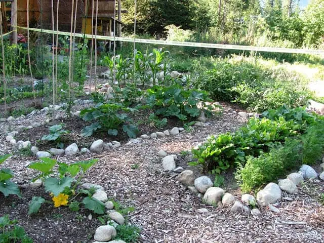 garden design with rock garden beds