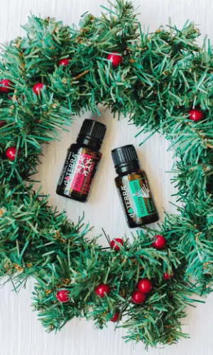 Smell your home like a real Christmas tree! This amazing Christmas mix # christmas # holidays # christmas christmas # christmas christmas # decorations holiday #essentialoils #christmas mixer mixer # mixer mixer # christmas decorations