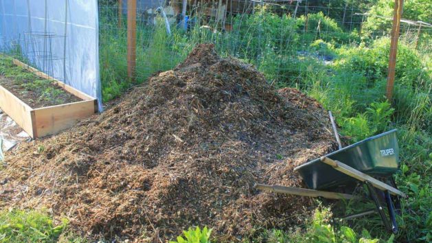 What is the best garden mulch for your garden needs? Review of straw, hay & woodchips